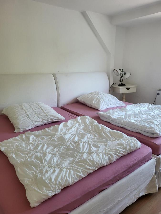 Elbblick Apartamento Königstein Exterior foto