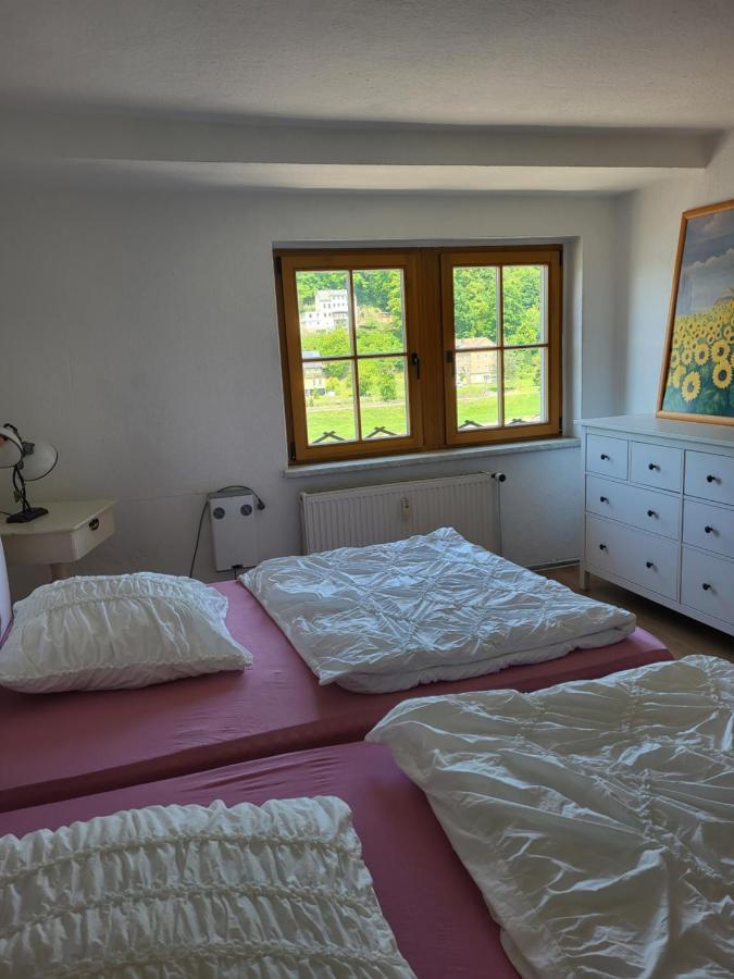 Elbblick Apartamento Königstein Exterior foto